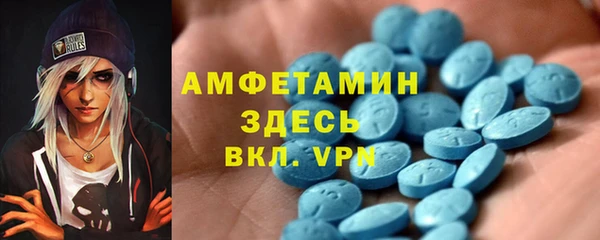 сатива Новодвинск