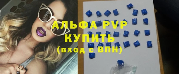 хмурый Аша