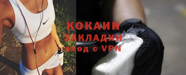 сатива Новодвинск
