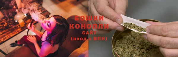сатива Новодвинск