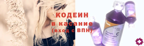 сатива Новодвинск