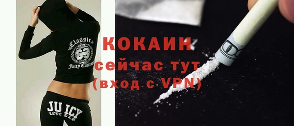 сатива Новодвинск