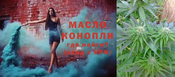 сатива Новодвинск