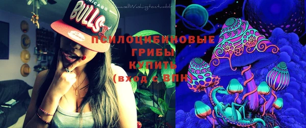 сатива Новодвинск