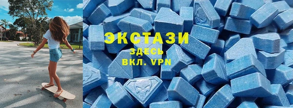 сатива Новодвинск