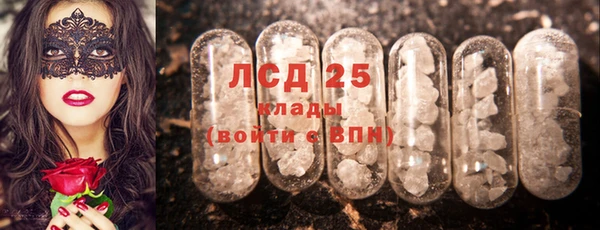 сатива Новодвинск