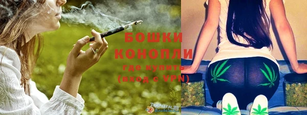 сатива Новодвинск