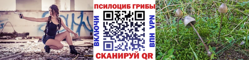 МЕГА ТОР  наркота  Троицк  Псилоцибиновые грибы Psilocybine cubensis 